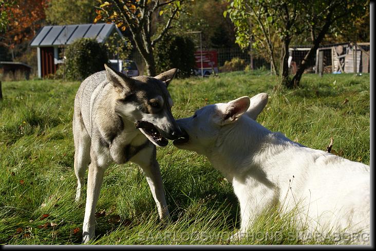 You have reached the last slide